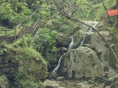 -南山植物园