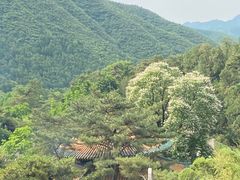 -潭柘寺景区