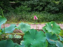 -阿哈湖国家湿地公园