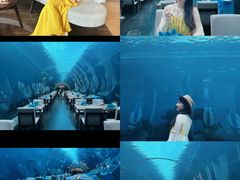 -海棠湾洲际-涛·海底餐厅·美人鱼·自助餐·海底隧道