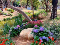 -人民公园(罗湖区)