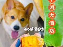 -广州中国大酒店