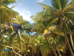 -海南分界洲岛旅游区