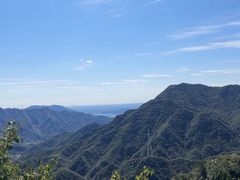-大岭沟猕猴桃谷风景区