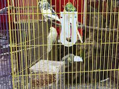 -宁波儿童公园(鄞州区)