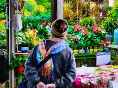 -朝来春花卉市场