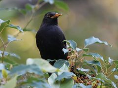 -苏州河梦清园环保主题公园