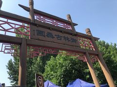 -御林古桑园