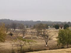 -盘龙城遗址博物院