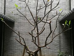 -归觅·西关小姐人文艺术馆(荔枝湾店)