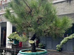 -东莞市可园博物馆