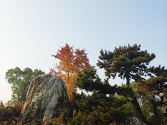 -武汉园博园(武汉自然博物馆)