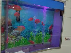 -雅悦齿科(顾村公园店)