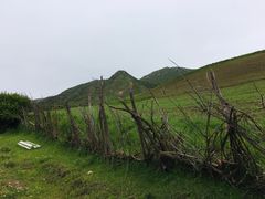-兰州吐鲁沟国家森林公园