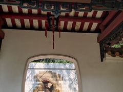 -广州兰圃