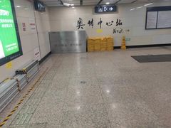 -奥体中心(地铁站)