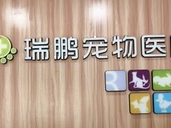 -瑞鹏·疫苗·绝育·宠物医院(广九店)