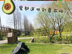 -前小桔亲子创意农场·草莓采摘·露营烧烤