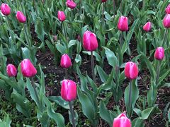 -长春公园(普阳街道)