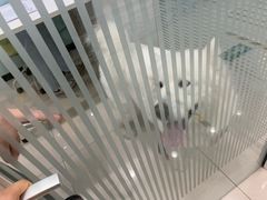 -悦宠凯宝动物医院·牙科·皮肤科(朝阳北路店)