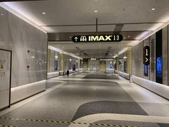 -英皇电影城(平安金融中心IMAX激光店)