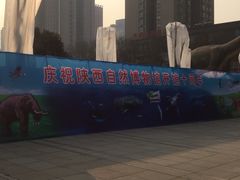 -陕西自然博物馆