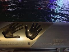-星光大道