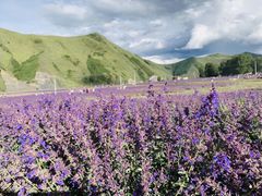 -紫颐香薰山谷景区