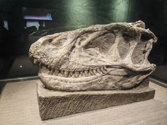 -自贡恐龙博物馆