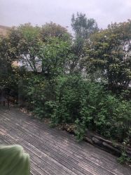 -罗亚帝·NASHOW纳秀形象设计