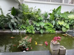 -漫笙舍Manse·咖啡·民宿