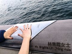 -星光大道