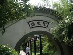 酒酿核桃羹-走马楼饭庄(慈城古县城店)