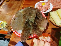 -楠火锅(葫芦岛飞天广场店)