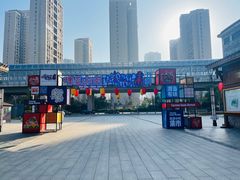 -洋湖国家湿地公园