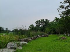 -宜兴龙背山森林公园