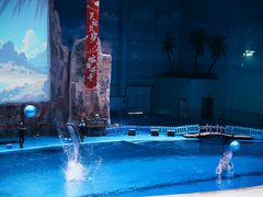 -华夏文旅海洋公园