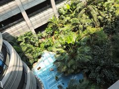 -黑龙江中医药大学附属第一医院