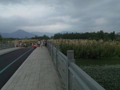 -三垟湿地