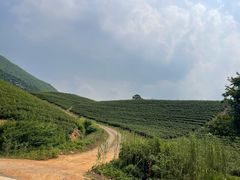 -雅达·阳羡溪山小镇中心