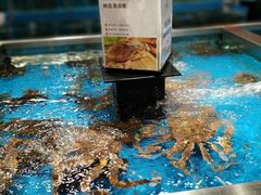 -盒马鲜生(领丰汇店)