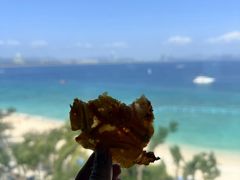 -蜈支洲岛珊瑚酒店临海阁中餐厅