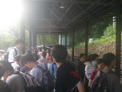 -洛阳白云山景区