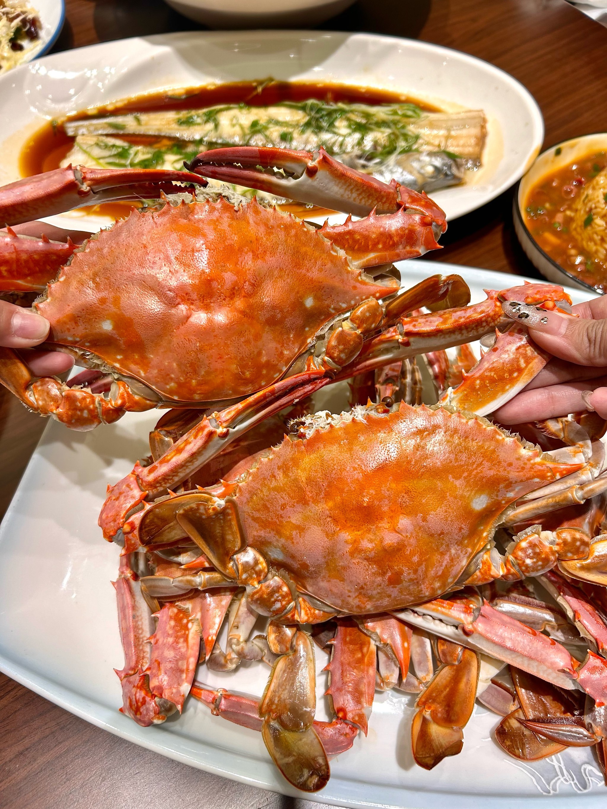 🦀哈尔滨我心目中能排前三的海鲜饭店‼️