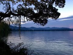 -浙江西子宾馆·瑶园咖啡厅