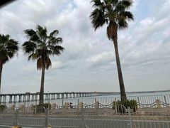 -宝安西湾红树林湿地公园