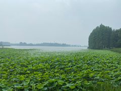 -东湖落雁景区
