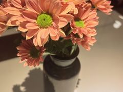 -阿妮叶李(光谷世界城店)