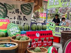 -鹏欣水游城