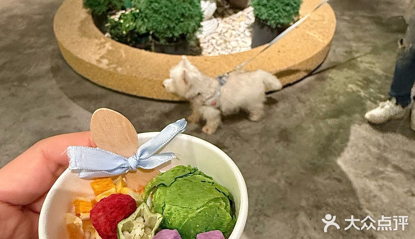 宁波夏日漂亮饭之约🍴(宠物友好)